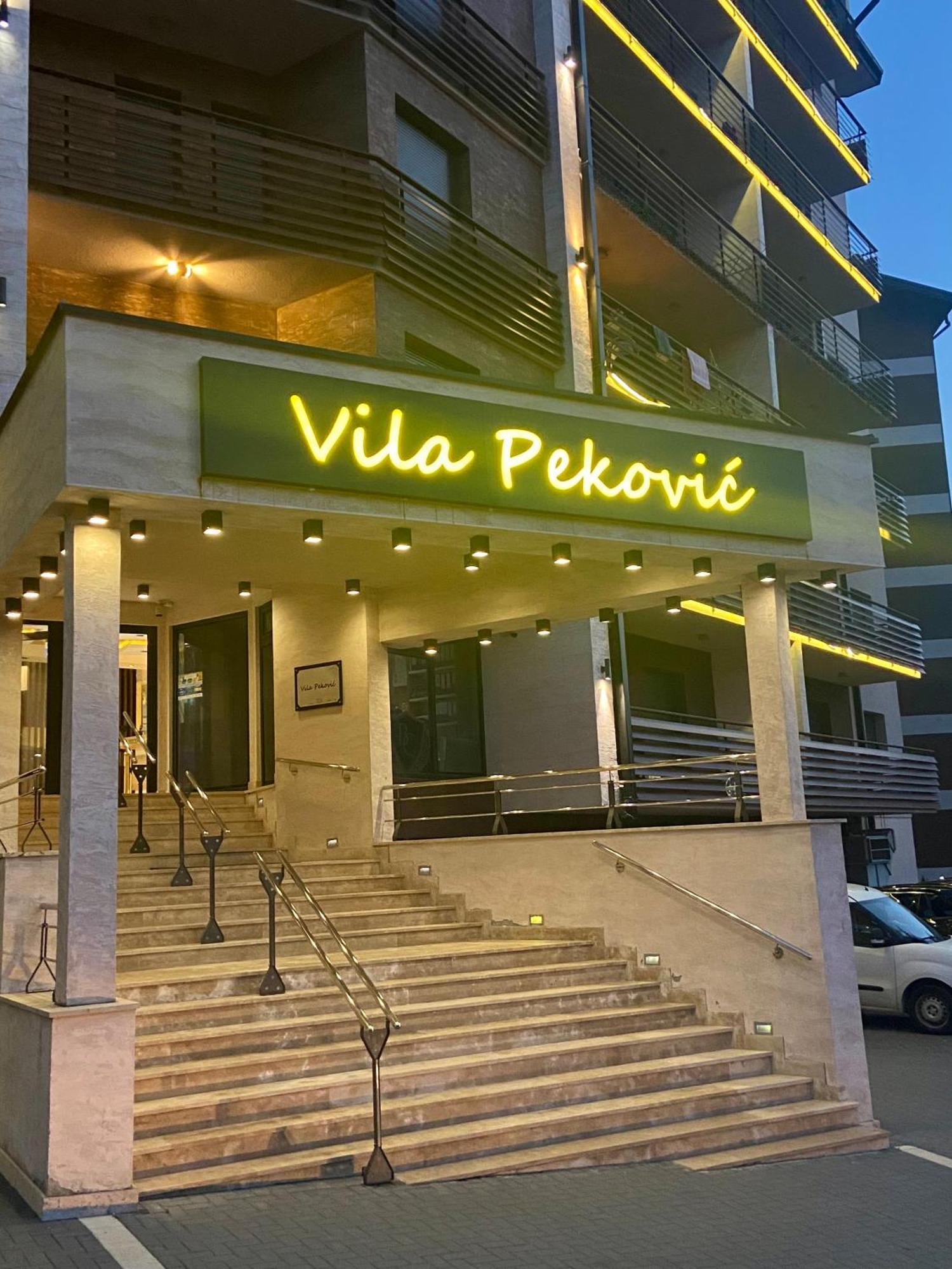 Pino Bianco 1 - Pekovic Zlatibor
